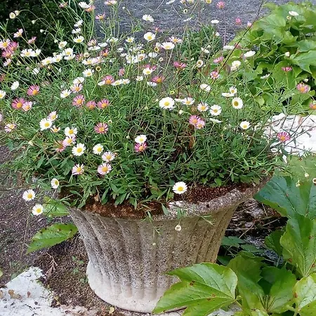 Les Trois L Oda ve Kahvaltı